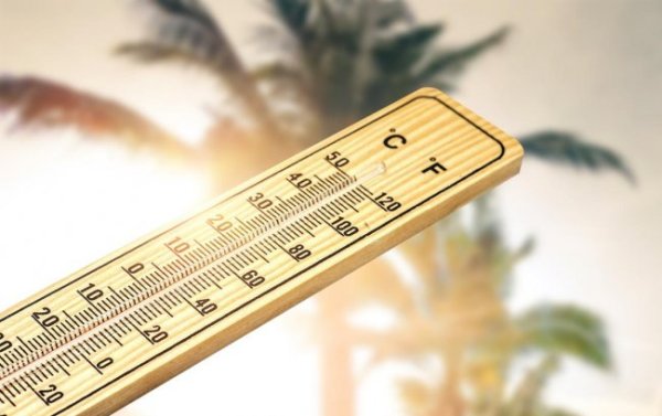 2026世界杯中国线上平台 从遮光窗帘到强盛空调: 科学防暑的每一步皆算数