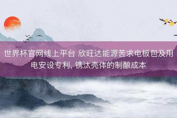 世界杯官网线上平台 欣旺达能源苦求电板包及用电安设专利， 镌汰壳体的制酿成本
