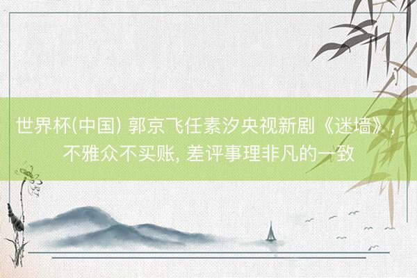 世界杯(中国) 郭京飞任素汐央视新剧《迷墙》， 不雅众不买账， 差评事理非凡的一致