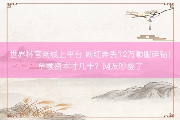 世界杯官网线上平台 网红弄丢12万顺服碎钻！单颗资本才几十？网友吵翻了