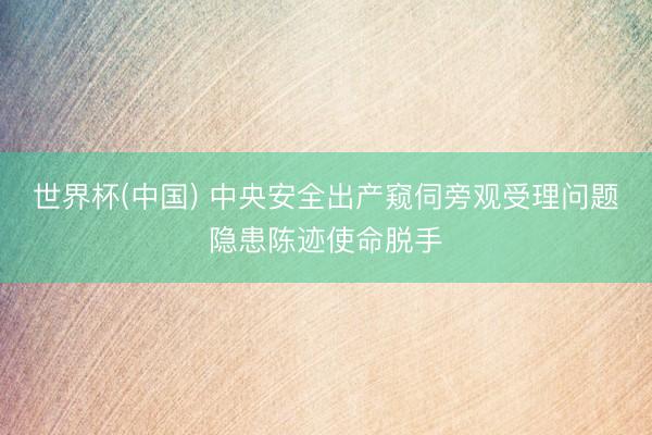 世界杯(中国) 中央安全出产窥伺旁观受理问题隐患陈迹使命脱手