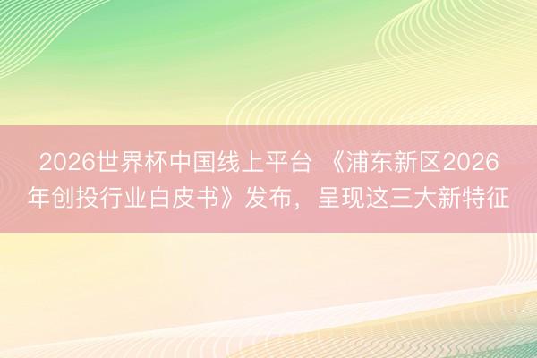 2026世界杯中国线上平台 《浦东新区2026年创投行业白皮书》发布，呈现这三大新特征