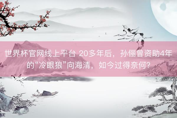 世界杯官网线上平台 20多年后，孙俪曾资助4年的“冷眼狼”向海清，如今过得奈何？