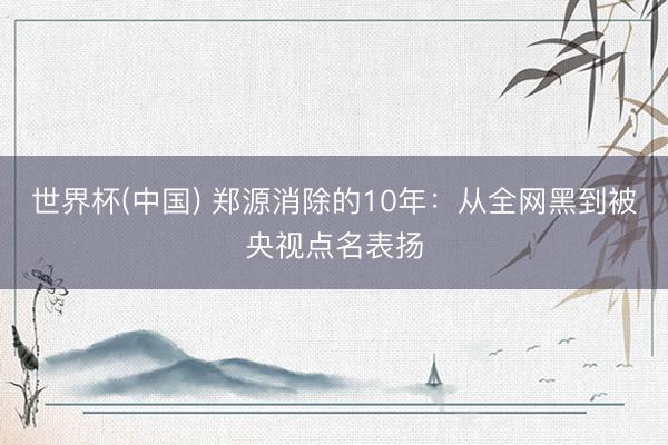 世界杯(中国) 郑源消除的10年：从全网黑到被央视点名表扬