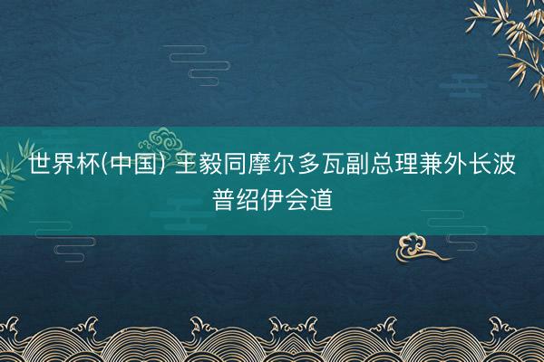世界杯(中国) 王毅同摩尔多瓦副总理兼外长波普绍伊会道