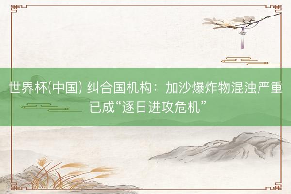 世界杯(中国) 纠合国机构：加沙爆炸物混浊严重 已成“逐日进攻危机”