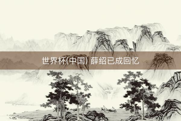 世界杯(中国) 薛绍已成回忆