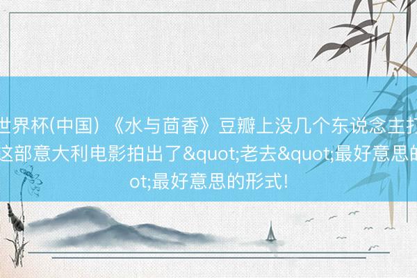 世界杯(中国) 《水与茴香》豆瓣上没几个东说念主打分, 但这部意大利电影拍出了"老去"最好意思的形式!