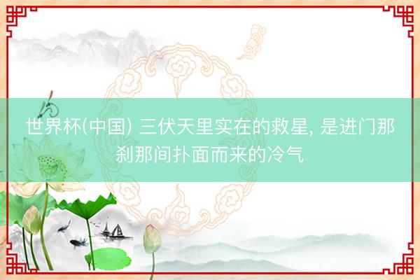世界杯(中国) 三伏天里实在的救星, 是进门那刹那间扑面而来的冷气